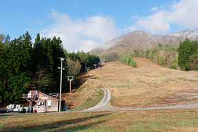 iCXł