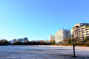 1�������Ȃ������悤�����ǂȁ[