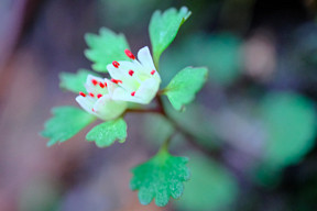 �L�^�[�[�[