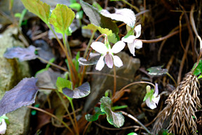 ���N�������čK��